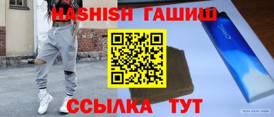 спиды Кингисепп