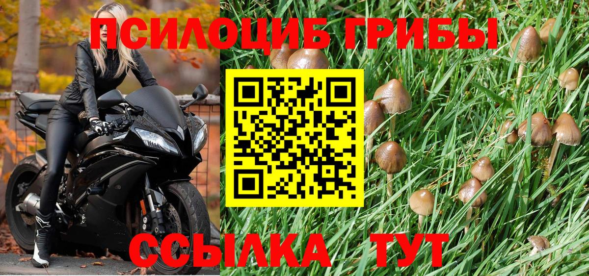 Псилоцибиновые грибы MAGIC MUSHROOMS Бузулук