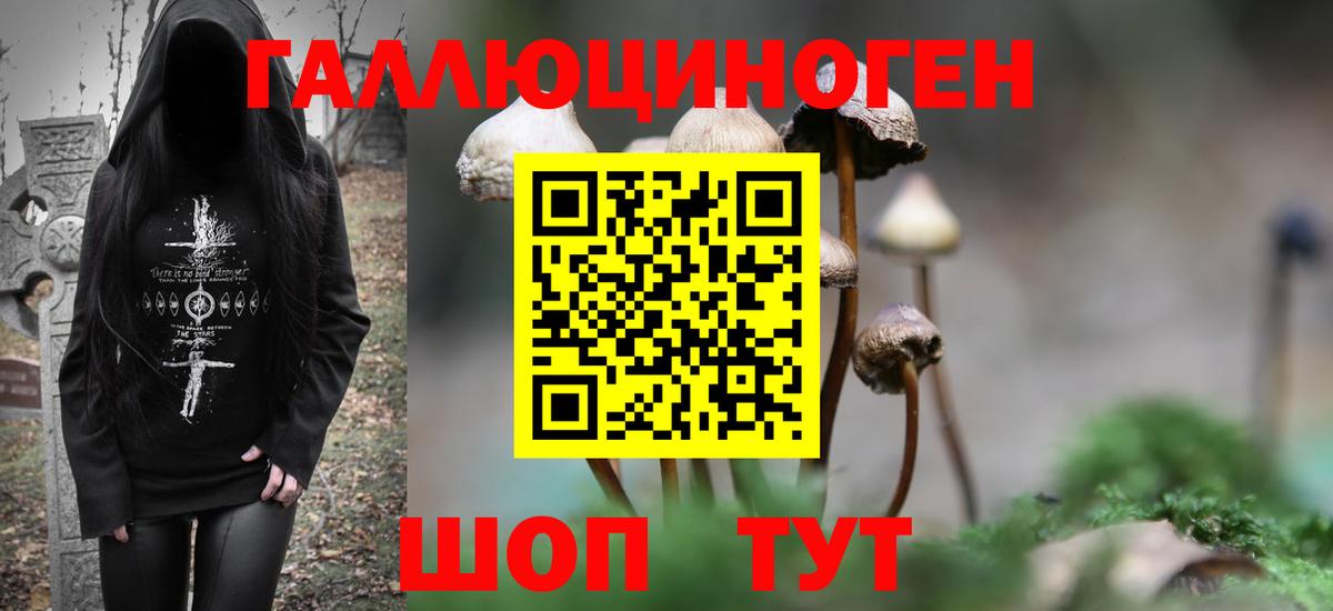 Бузулук  Псилоцибиновые грибы MAGIC MUSHROOMS  Вход с VPN 